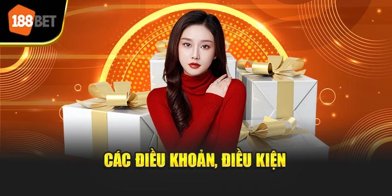 Các điều khoản, điều kiện