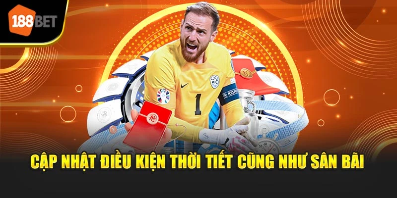 Cập nhật điều kiện thời tiết cũng như sân bãi