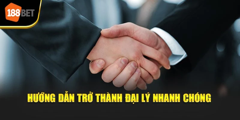 Hướng dẫn trở thành đại lý nhanh chóng
