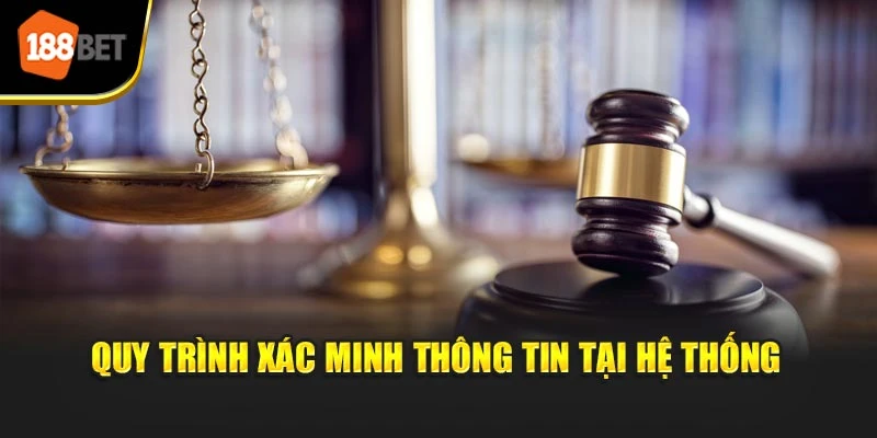 Quy trình xác minh thông tin tại hệ thống